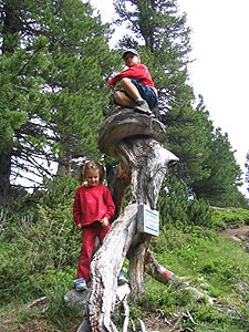 3.Heimatstürmer Fan Club-Wandertag